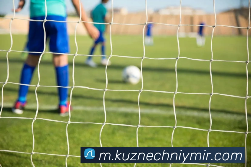 世界杯2026首页平台生态图